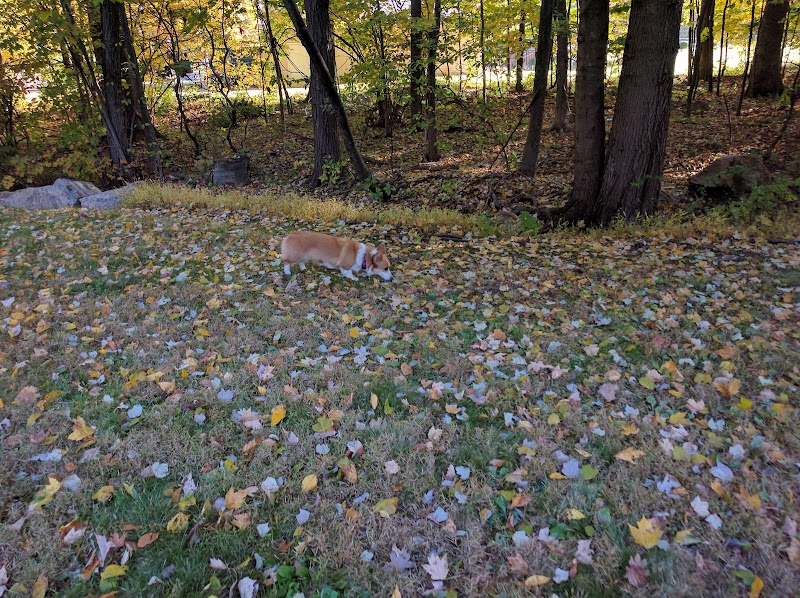 Sachem Hill Field photo 2