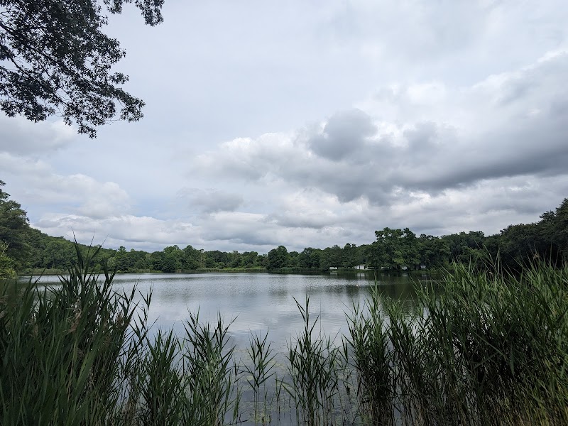 Lake Windwing photo 2