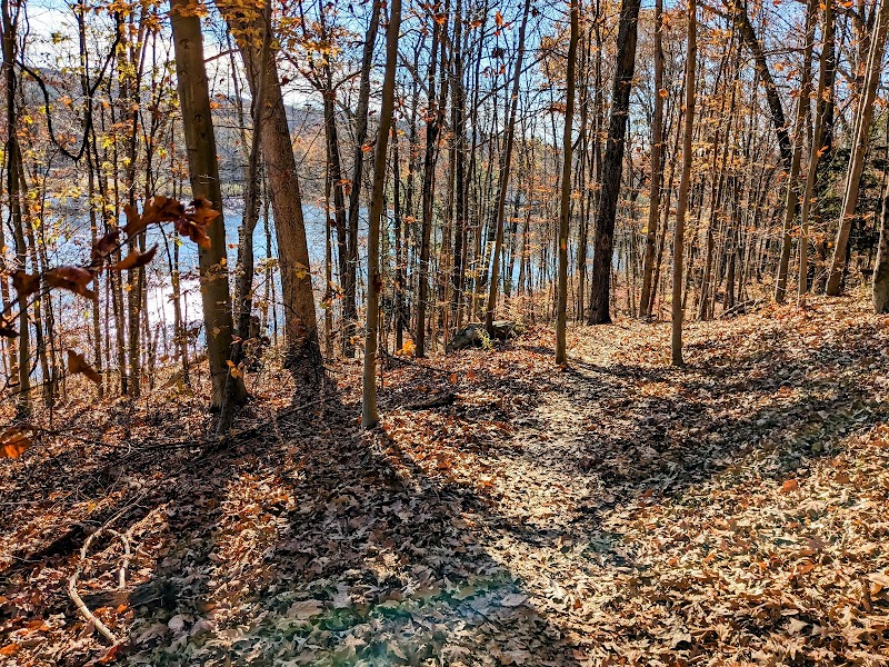 Lake Windwing photo 3