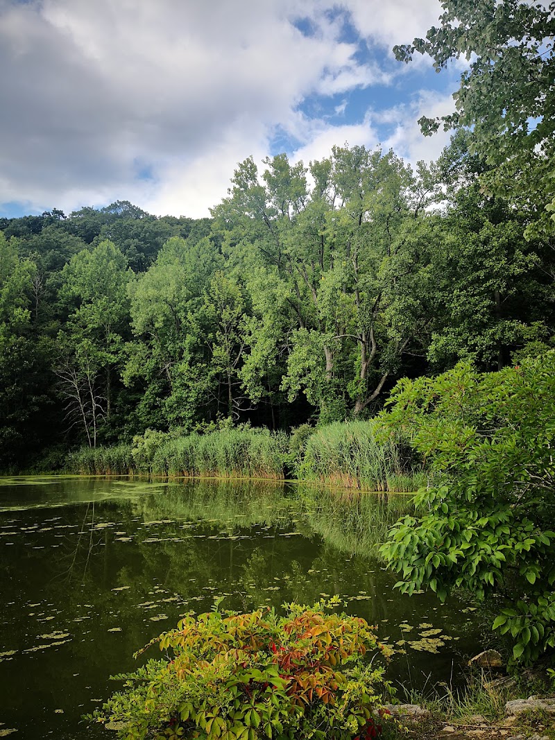 Lake Windwing photo 5