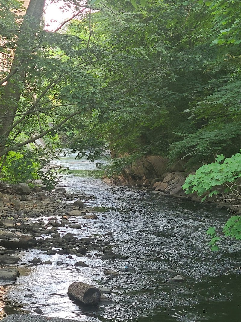 Malcolm Wilson County Park photo 4