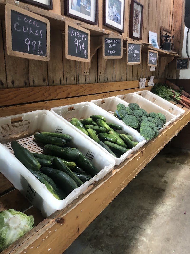 Baldwin Place Farm photo 2