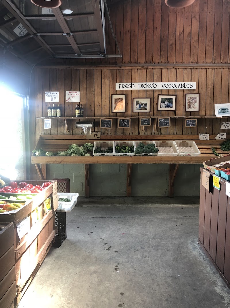 Baldwin Place Farm photo 3
