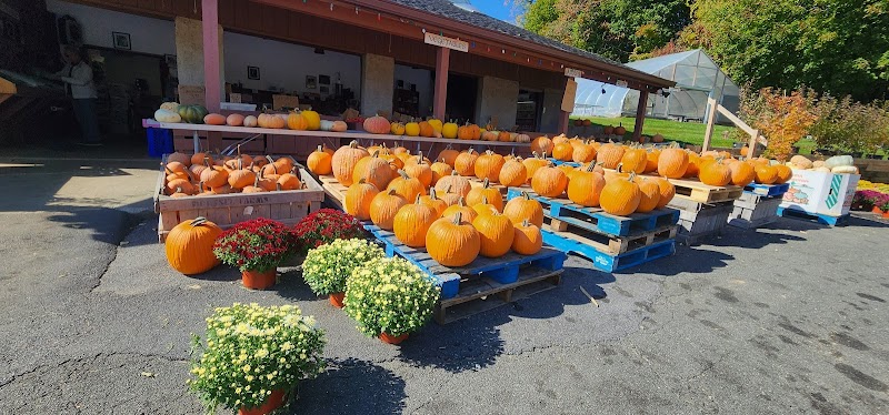 Baldwin Place Farm photo 4