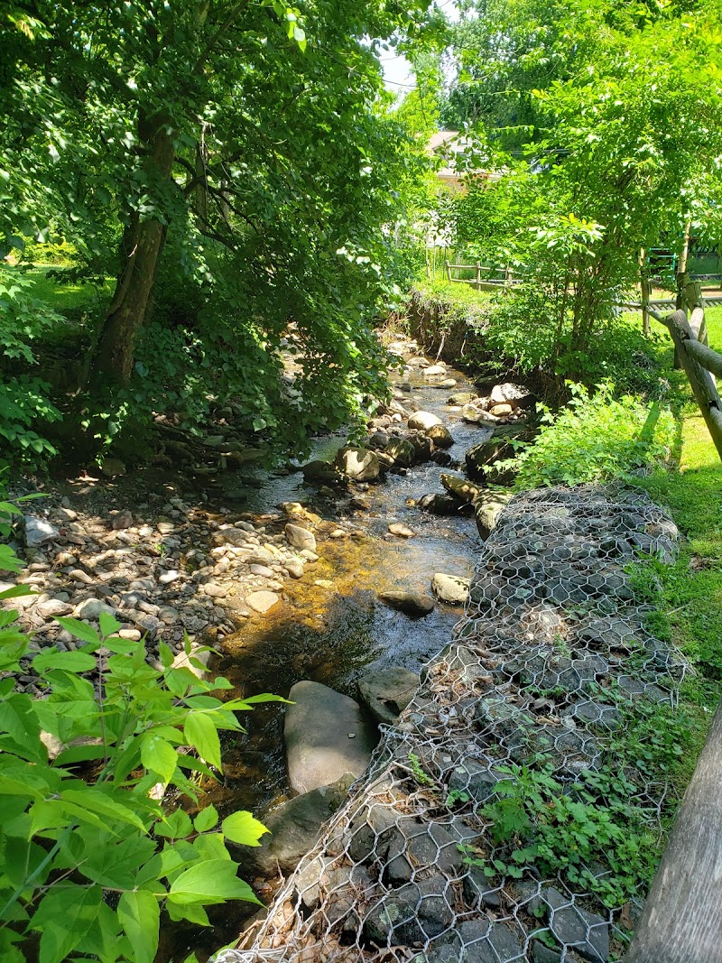 Dale Avenue Park photo 2