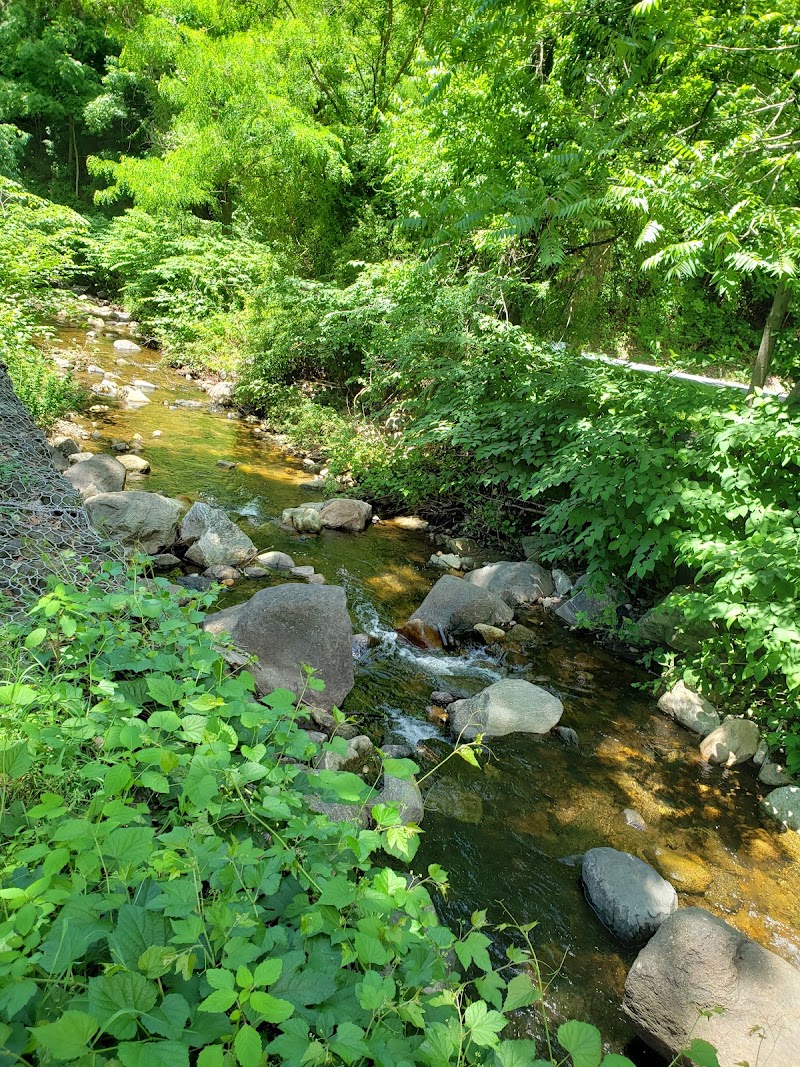 Dale Avenue Park photo 4