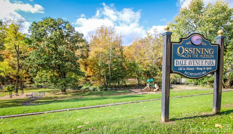 Dale Avenue Park photo 5
