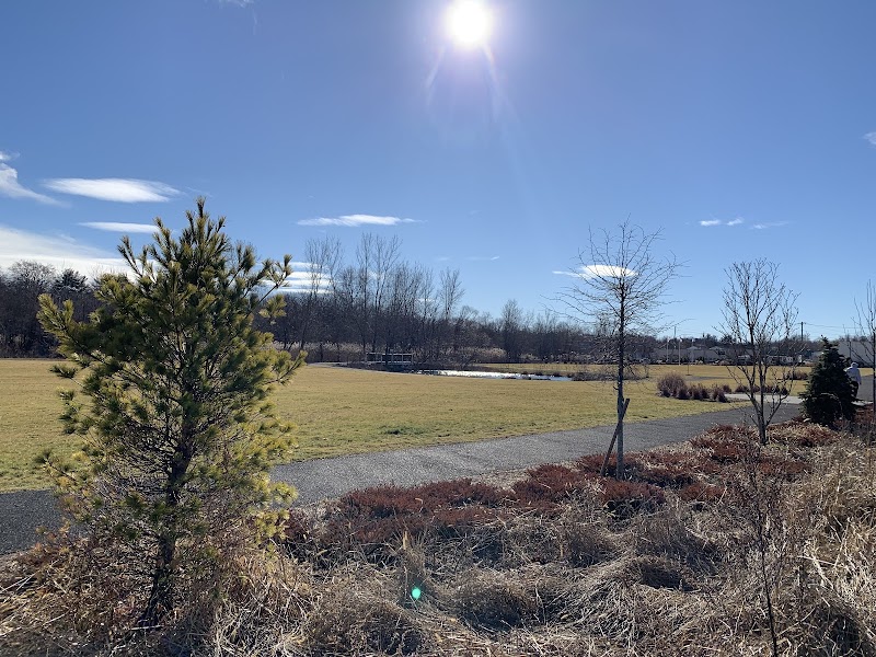Malfitano Park photo 4
