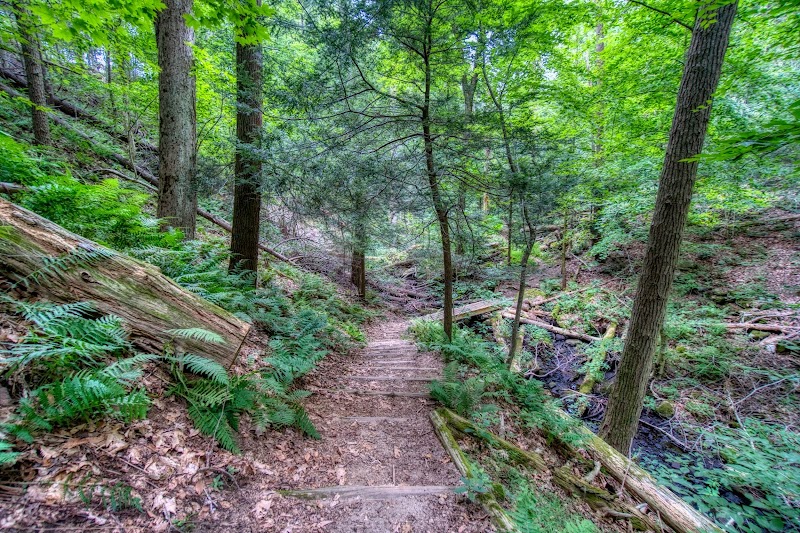 Halle Ravine photo 3