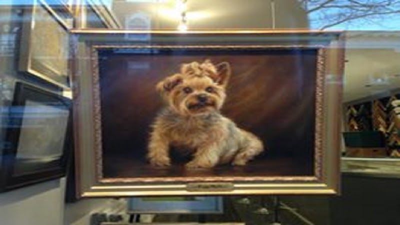 Gallery 52 photo 4
