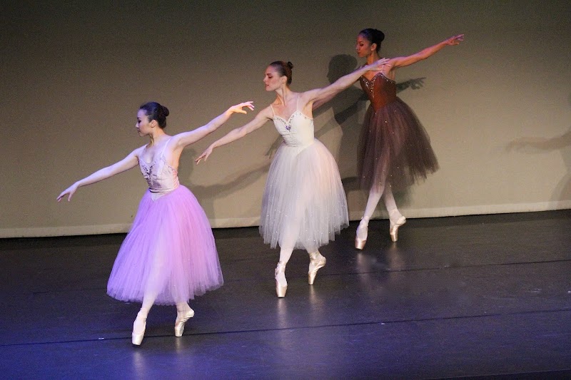 Ballet des Amériques / Carole Alexis Ballet Theatre photo 3