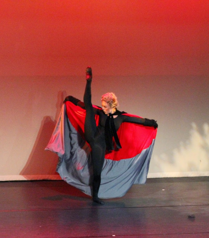 Ballet des Amériques / Carole Alexis Ballet Theatre photo 5
