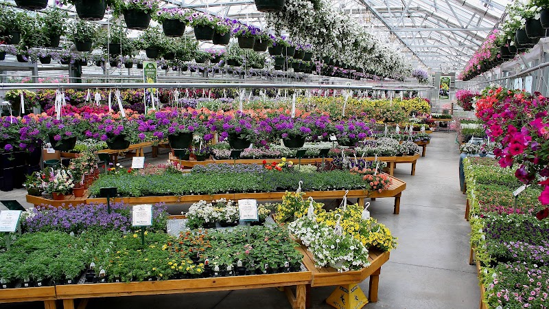 Sam Bridge Nursery & Greenhouses photo 2