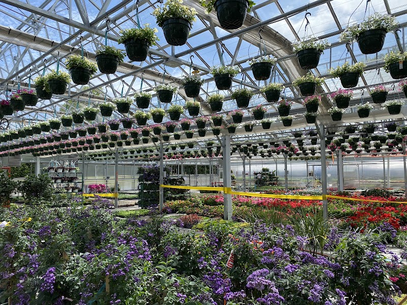 Sam Bridge Nursery & Greenhouses photo 3