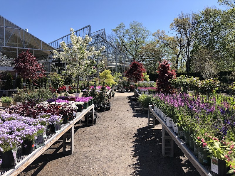 Sam Bridge Nursery & Greenhouses photo 5