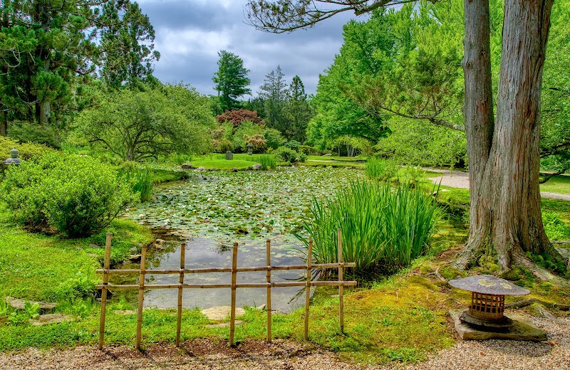 Hammond Museum & Japanese Stroll Garden photo 2