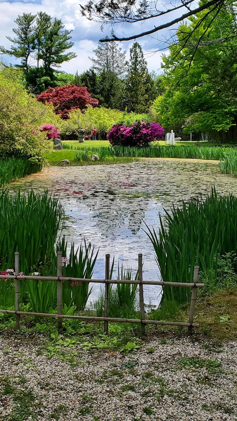 Hammond Museum & Japanese Stroll Garden photo 3