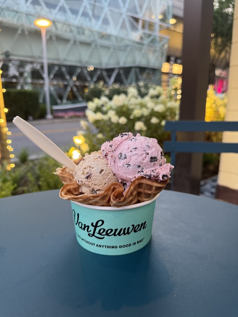 Van Leeuwen Ice Cream photo 2