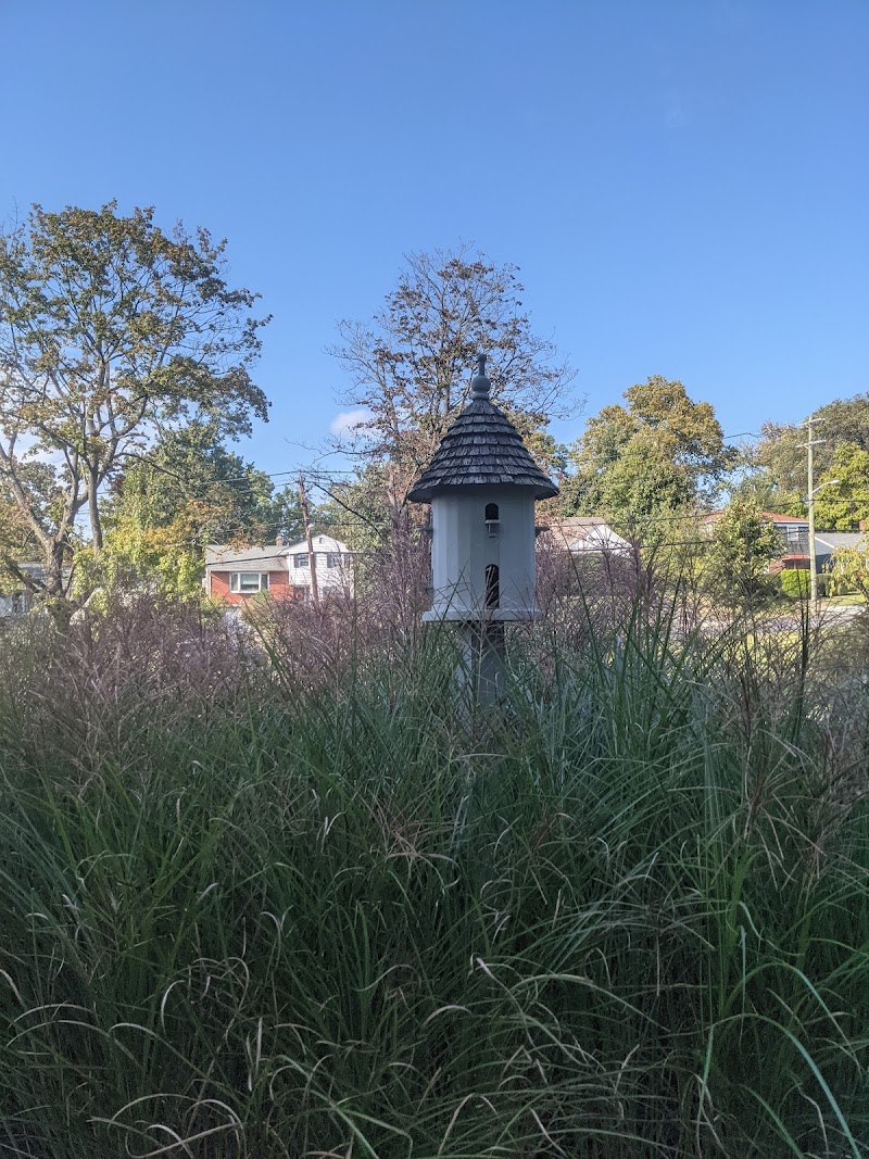 Kane Park photo 3
