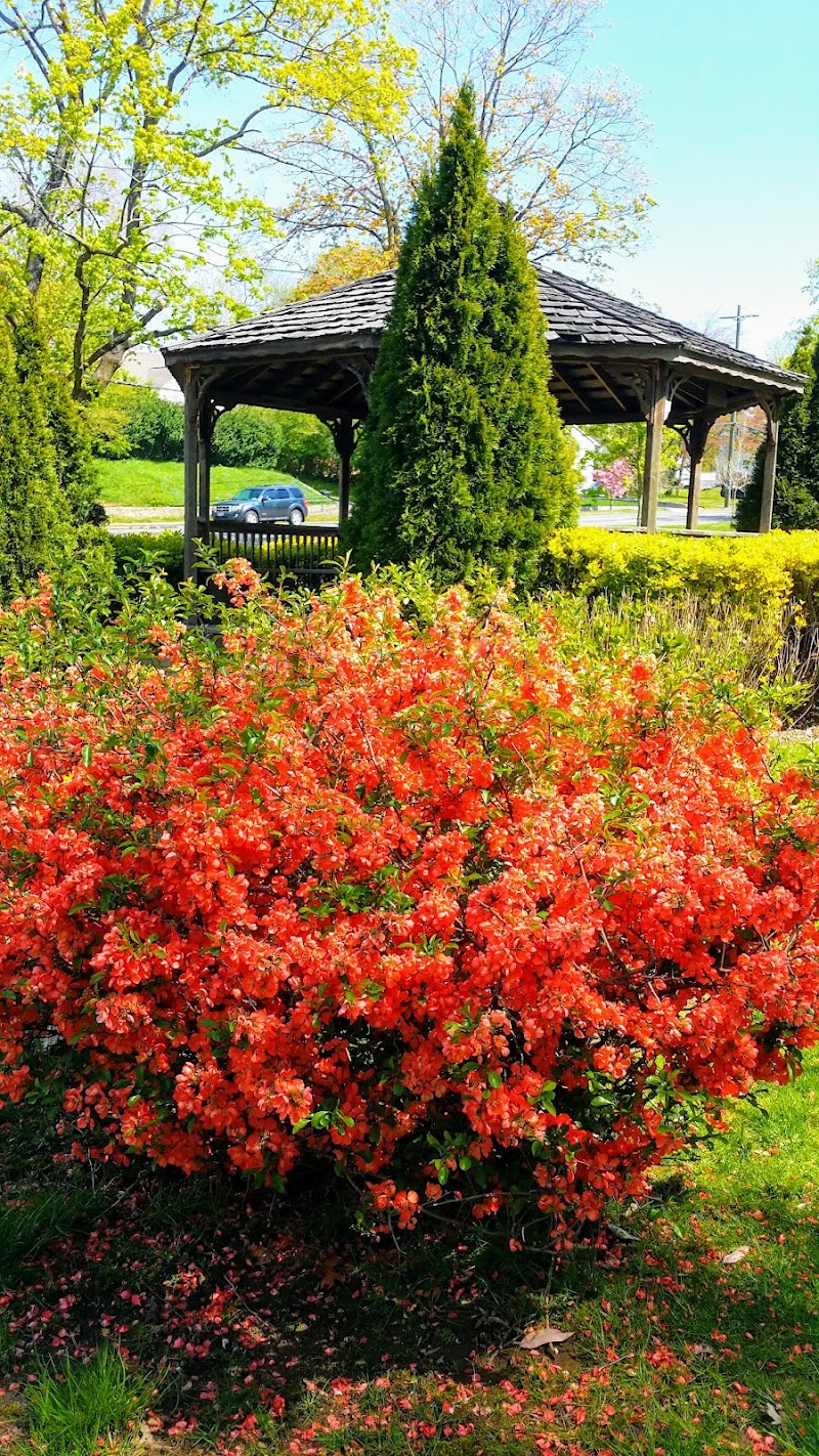 Kane Park photo 4