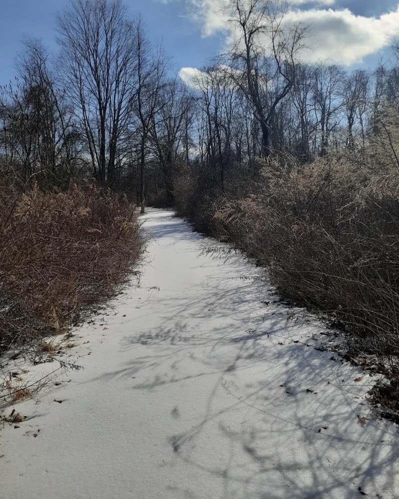Danner Family Preserve photo 3