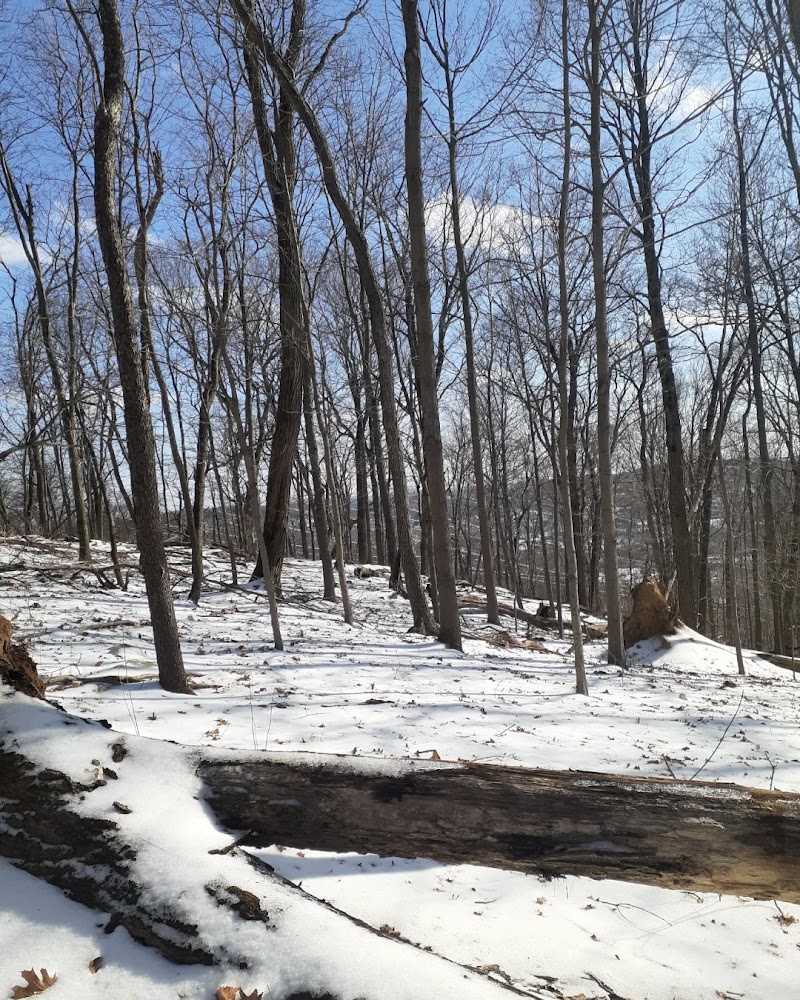 Danner Family Preserve photo 4