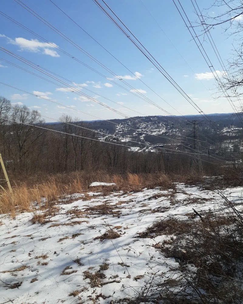 Danner Family Preserve photo 5