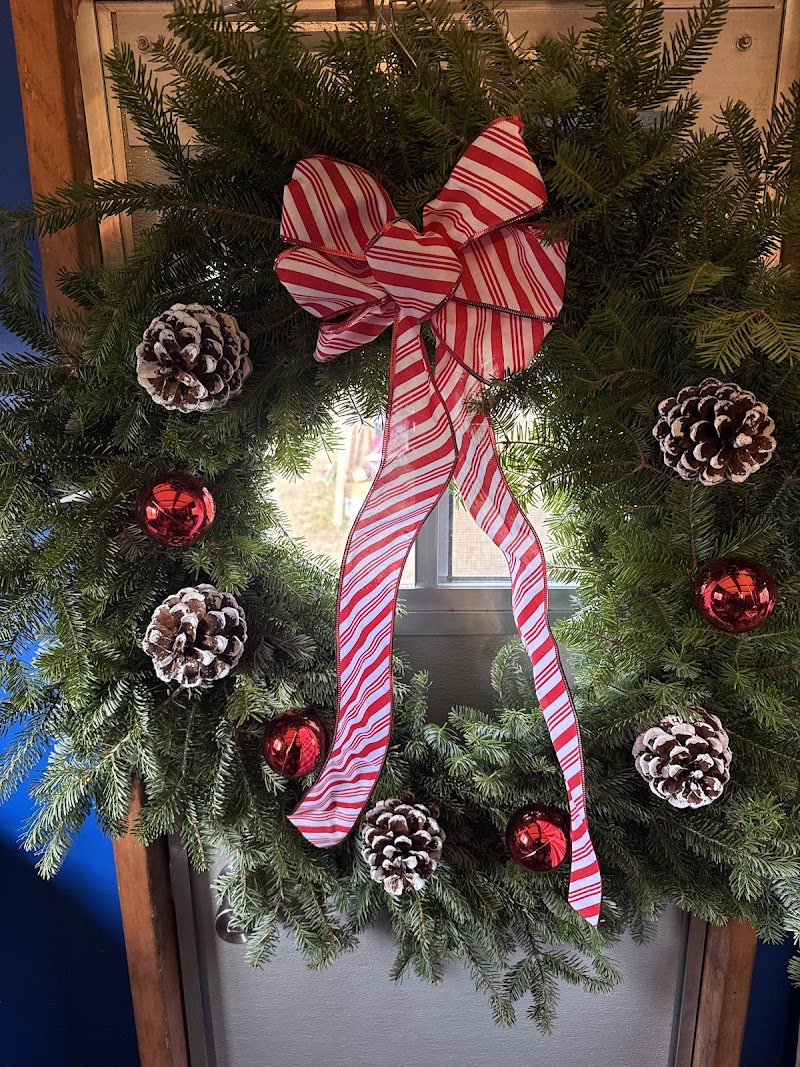 Dannys Christmas Trees and Wreaths photo 5