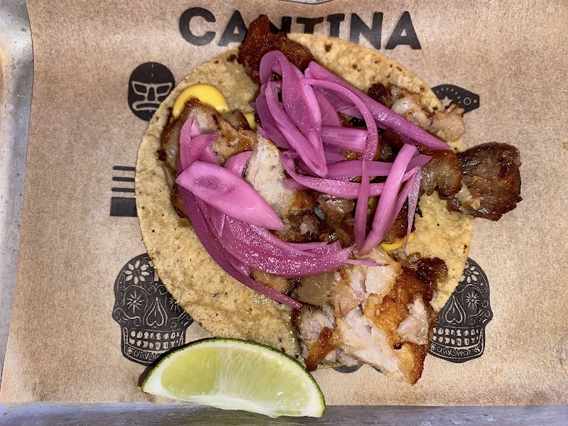 Cantina Lobos photo 3