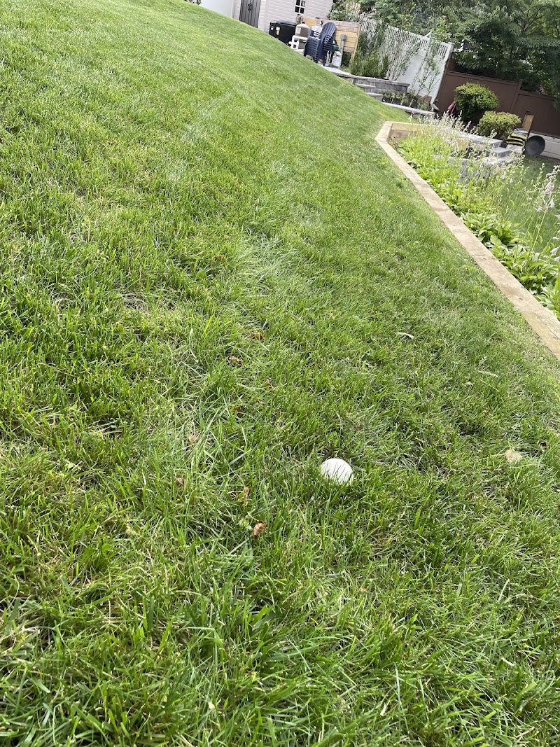 Manzer's Landscape Design & Development, Inc. photo 3