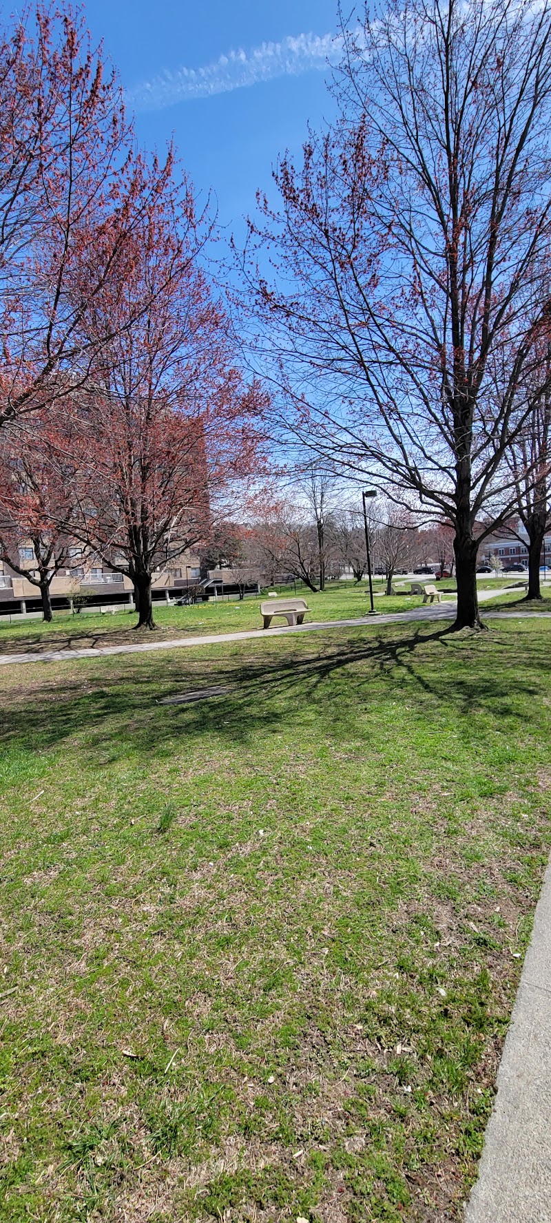 Sarah Michaels Park photo 2