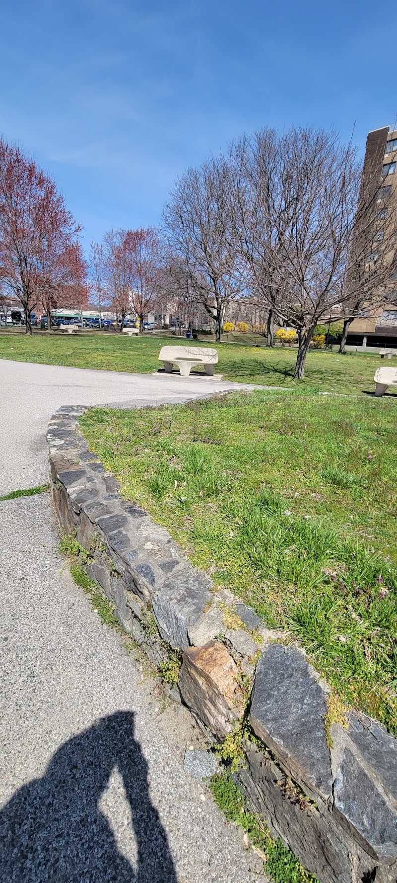 Sarah Michaels Park photo 5