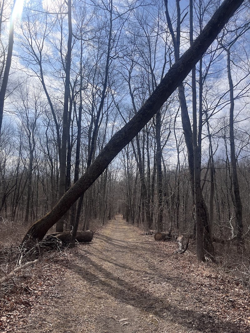 Sarah Bishop Park photo 2