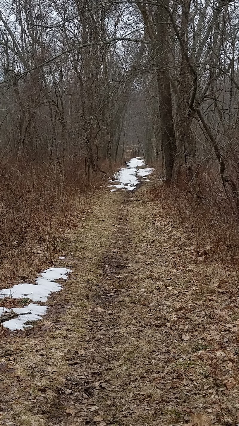 Sarah Bishop Park photo 3