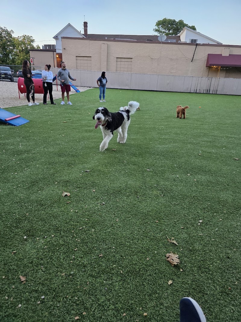 Harbor Point Dog Park photo 4