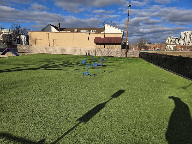 Harbor Point Dog Park photo 5