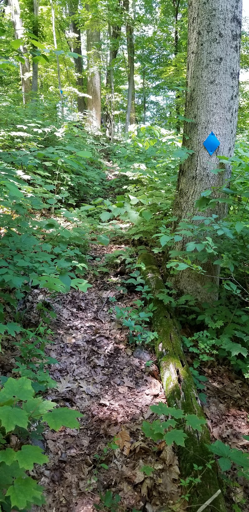 Warburg Park photo 2