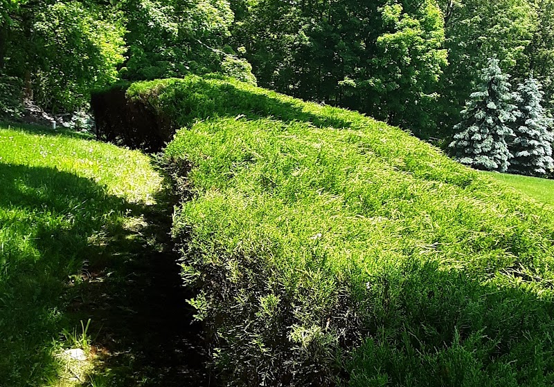 Warburg Park photo 5