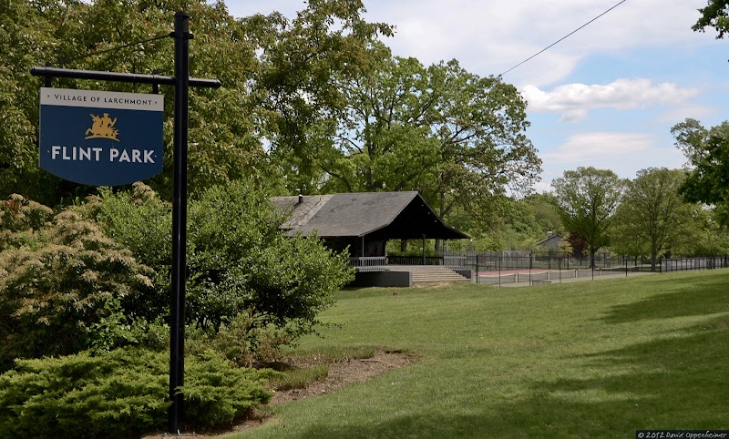 Larchmont Flint Park photo 3