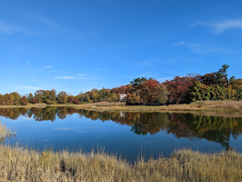 Larchmont Flint Park photo 4