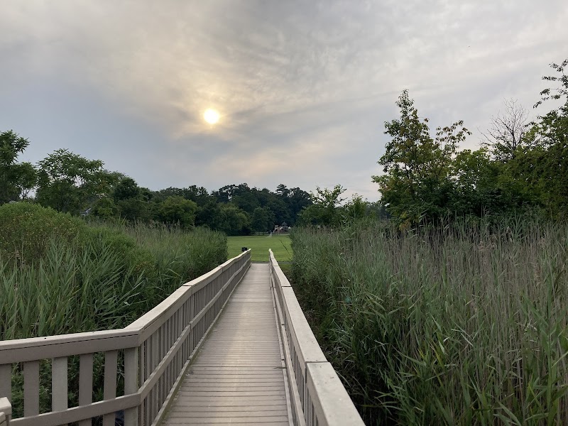 Larchmont Flint Park photo 5