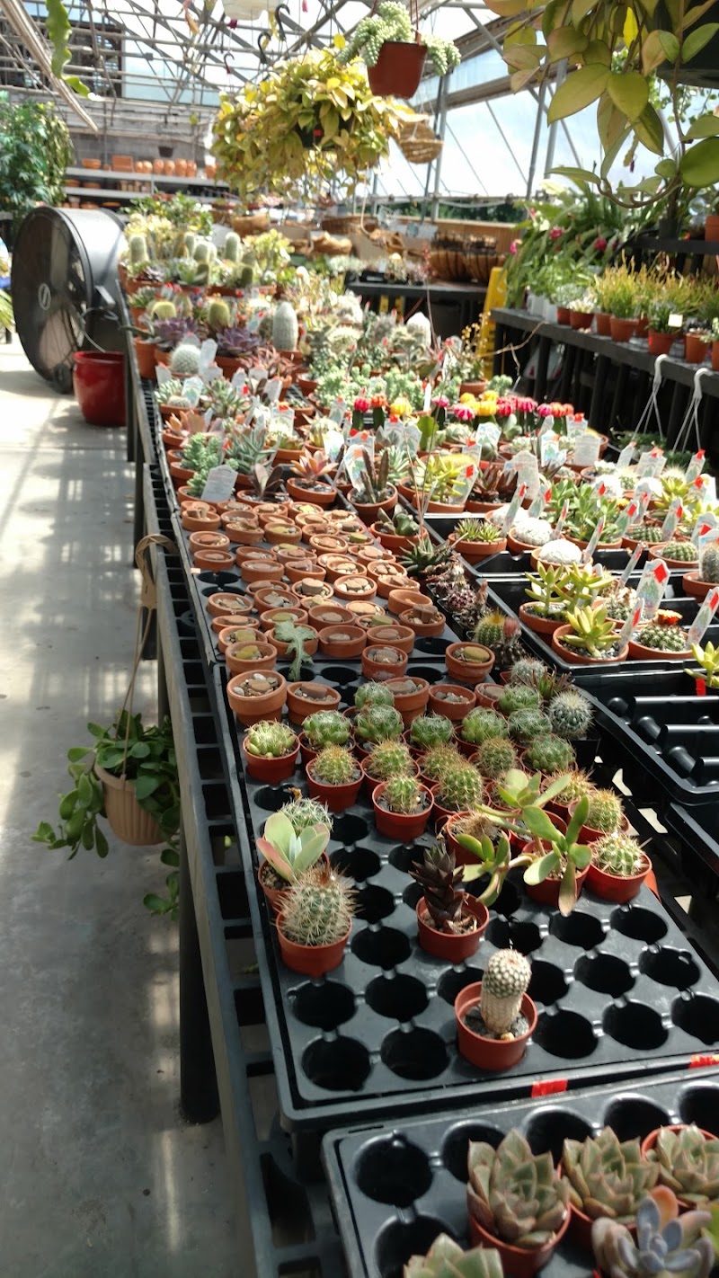 Larchmont Nurseries photo 2