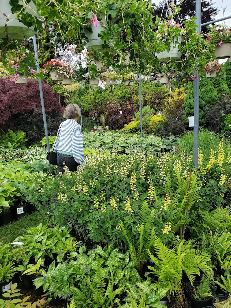 Larchmont Nurseries photo 3