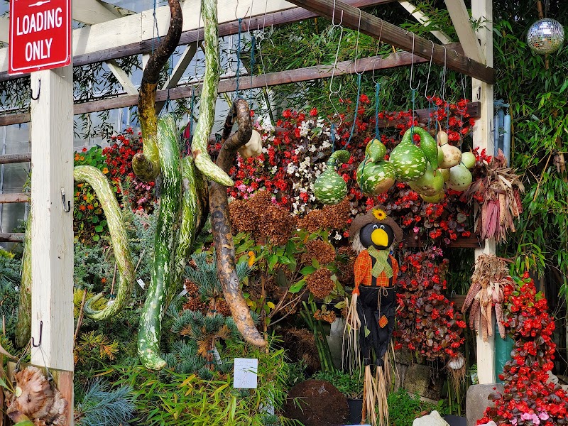 Larchmont Nurseries photo 5
