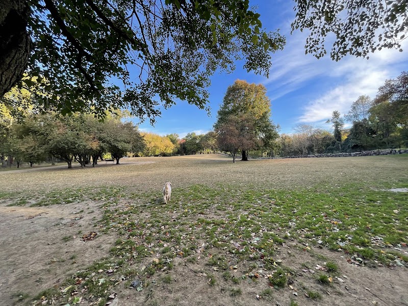 Ward Acres Park photo 2