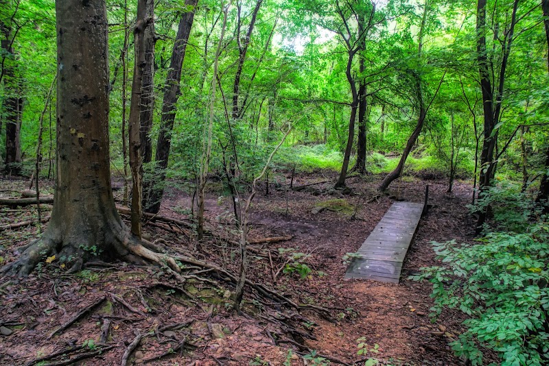 Ward Acres Park photo 4