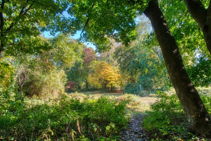 Ward Acres Park photo 5