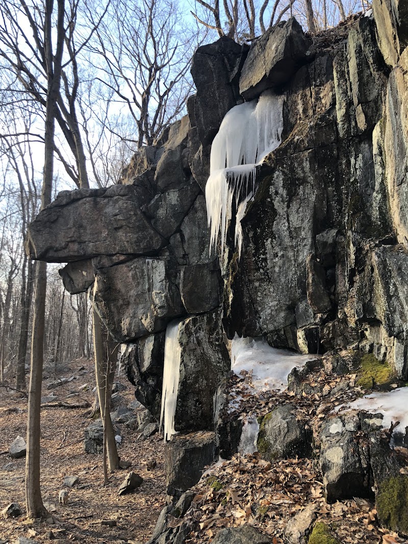 Ward Pound Ridge Reservation photo 3