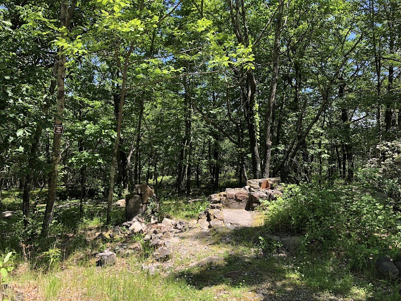Ward Pound Ridge Reservation photo 5