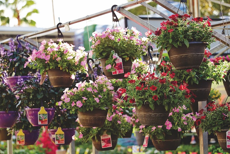 Garden Center at The Home Depot photo 3